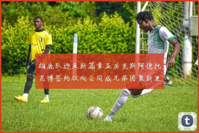 雄鹿队迎来新篇章亚历克斯阿德托昆博签约双向合同成兄弟团聚新里程碑