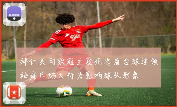 拜仁关闭欧冠主场死忠看台球迷领袖痛斥焰火行为影响球队形象