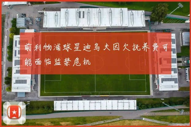 前利物浦球星迪乌夫因欠抚养费可能面临监禁危机